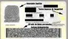 Elementos De Seguridad 3 20130702 1131575627