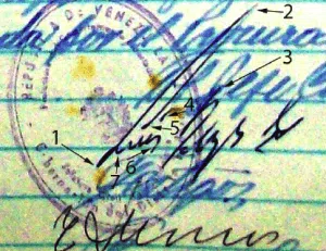 ¿Que Es Experticia Grafotécnica O Pericia Caligráfica? 3 ¿Que Es Experticia Grafotécnica O Pericia Caligráfica?